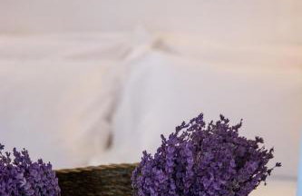 mikro Thama - Foto 10