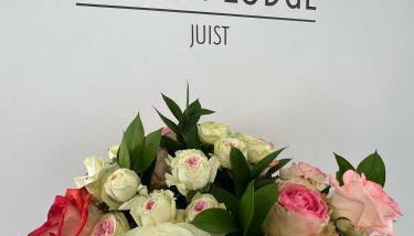 Dünen Lodge 5 - Foto 3