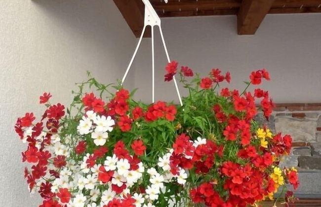 Agriturismo Al Vecchio Portico - Photo 64