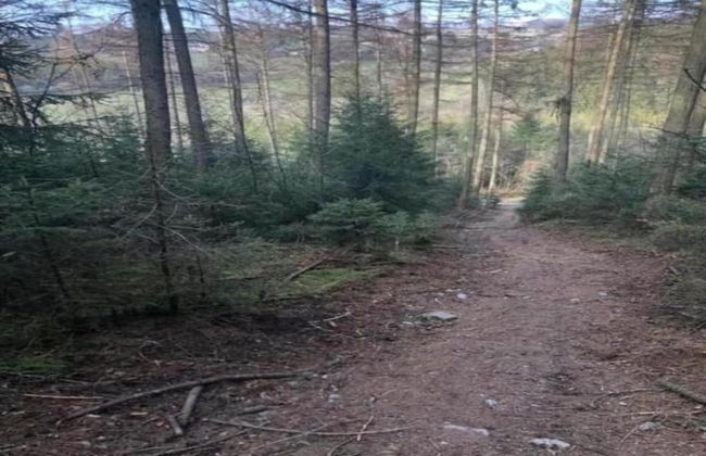 Holiday Home Le Fournil in Manhay With Garden - Photo 36