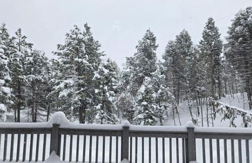 Woodland Park Scandi Cabin, Mtn Views & Hot Tub - Foto 27