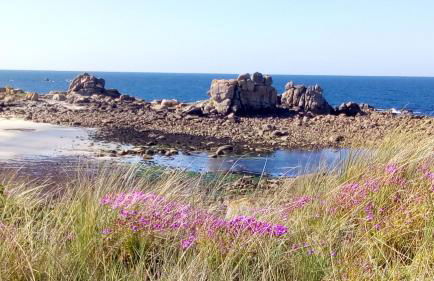 Tiny House sur la cote bretonne - Foto 12