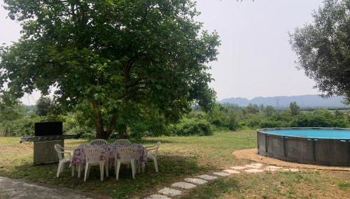 Mas Bruneau - Foto 4, Garden