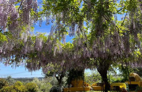 Monte Emitaj - Foto 15