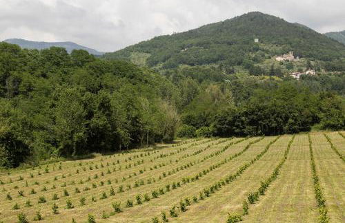 Podere Groppini - Foto 19