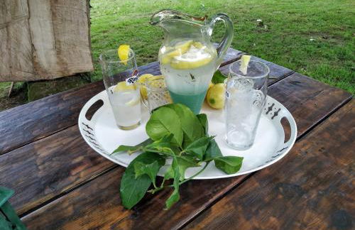 La Chimenea Cantabra - Foto 26