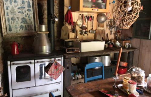 Une nuit en CABANE dans la Forêt - Photo 8