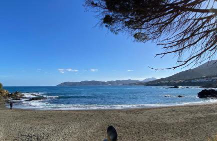 Gran sol de la Farella - Foto 14