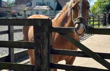 The Caradoc - Foto 47