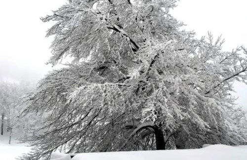 Casa di Nastya - Photo 2