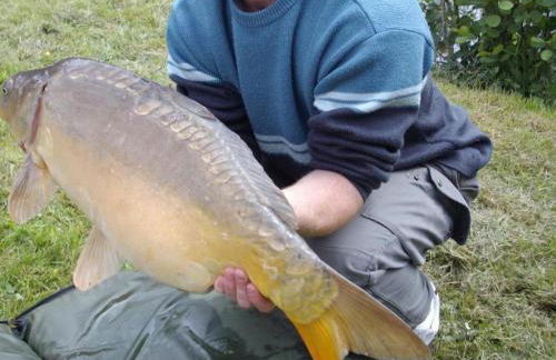 Grand gîte à Barrais-Bussolles avec cheminée et animaux acceptés - FR-1-489-21 - Foto 24