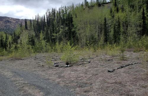 Amazing Glamping Tents Perfect for Outdoor and Nature Lovers in Chugiak, Alaska - Foto 21