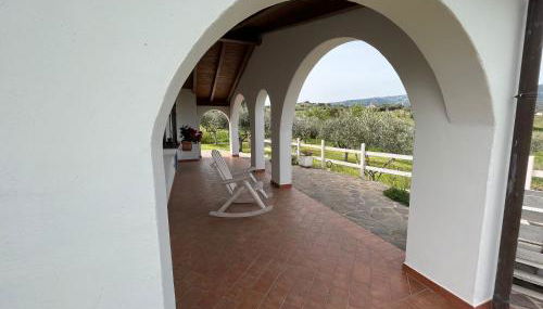 La casa nell'oliveto - Foto 2