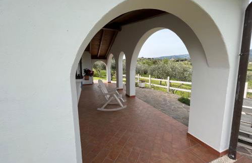 La casa nell'oliveto - Foto 2