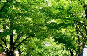 Residenza Santachiara - Foto 15