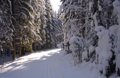 Ferienwohnungen Claus - Foto 21