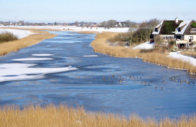 Pellworm Ostersiel 1 - Photo 9