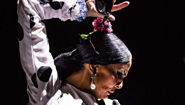 Teatro Flamenco Sevilla Show - Foto 2