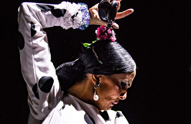 Teatro Flamenco Sevilla Show - Foto 2