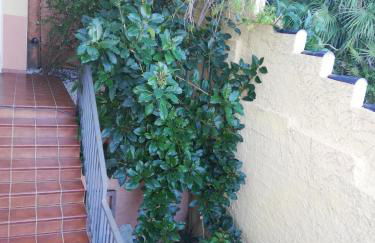 Sweet Suite - Photo 3