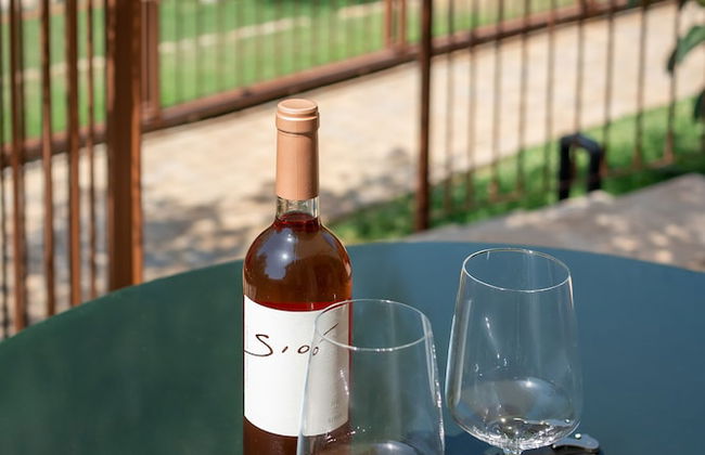 Rondaia Boutique Vineyard Stay – Mallorca, Tramuntana - Foto 69