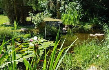 Ferienhaus Fichtenwalde, 160qm, 3SZ, 2BD, Küche, VDSL - Photo 22