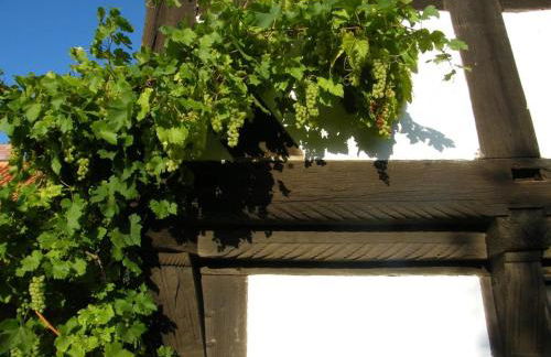 NEU! Bauern-Speicher Anno 1606 - Foto 20