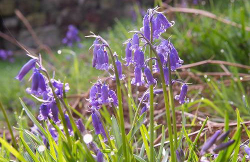 Heather Lea - Foto 17