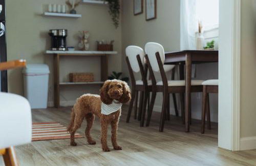 Sage Haven #5 - Foto 14