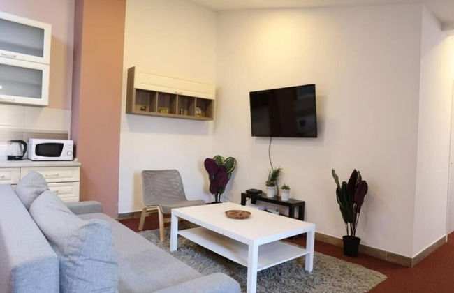 Belgrade Center Apartment Nusiceva - Foto 18