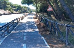 Purple House - Arboriamar Platamona - Photo 41