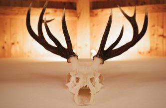 Chalet Zugspitze, Kamin, Tiere - Foto 58