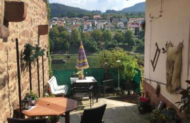 Neckarblick,Natur, Altstadt - Photo 55