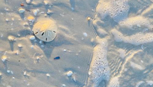 Olde Marco Inn - Foto 4