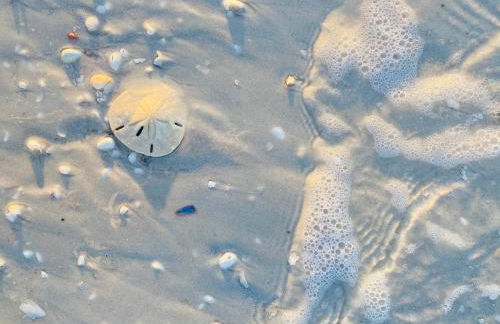 Olde Marco Inn - Photo 4