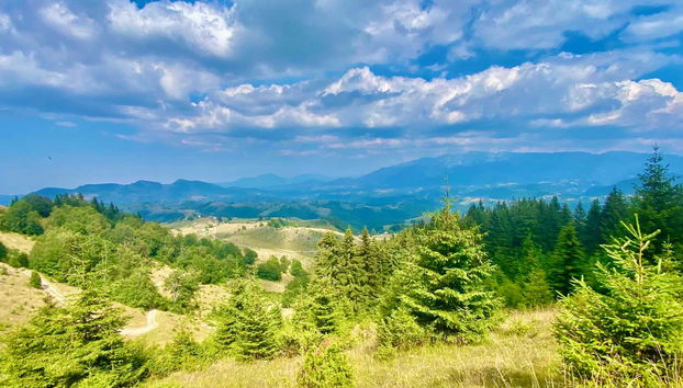 Descubriendo la naturaleza de Ciocanu