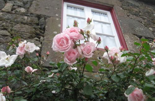 Casa da Roseira - Photo 12