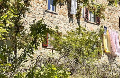 La sosta al lago - Photo 17