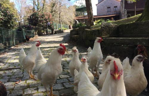 Quinta Padre Lobo - Foto 61