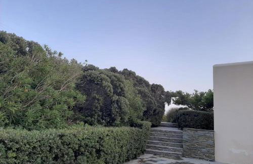 Andros Eco Home - Foto 11