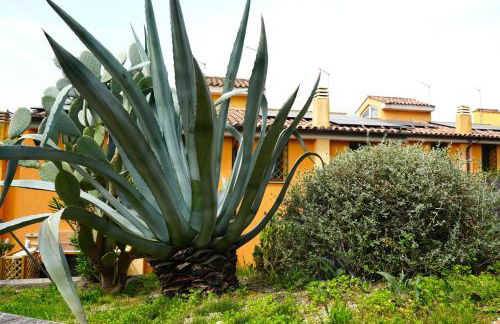 JANNUZZI HOUSE - Foto 46