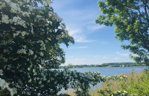 Sternkieker - Photo 17