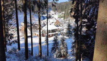 Historisches Aschberg Haisl Klingenthal, Terrasse, großer Garten 6 plus 2 Personen - Foto 4