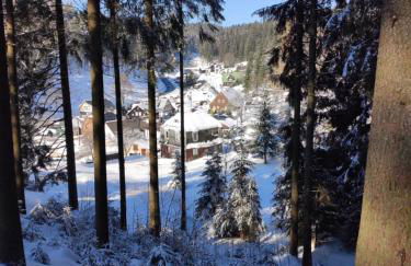 Historisches Aschberg Haisl Klingenthal, Terrasse, großer Garten 6 plus 2 Personen - Photo 4