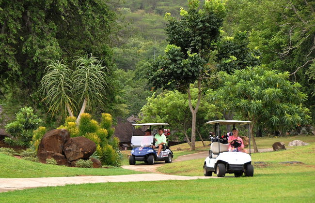 Kruger Park Lodge Unit No. 267 - Photo 25
