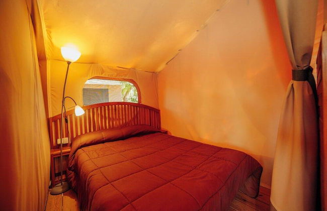 Alannia Guardamar - Foto 17