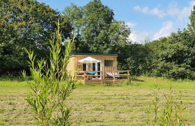 Dartmoor Reach Alpaca Farm - Foto 34