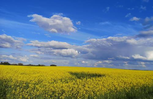 Ferienwohnung am Sternhagener See - Photo 27