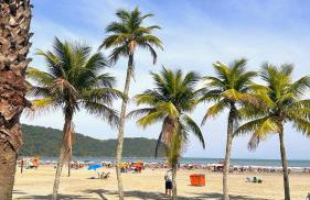 Apartamento Aconchegante e Elegante com Ar-Condicionado, Piscina, Garagem e Varanda Gourmet a 3 min da Praia - Photo 15