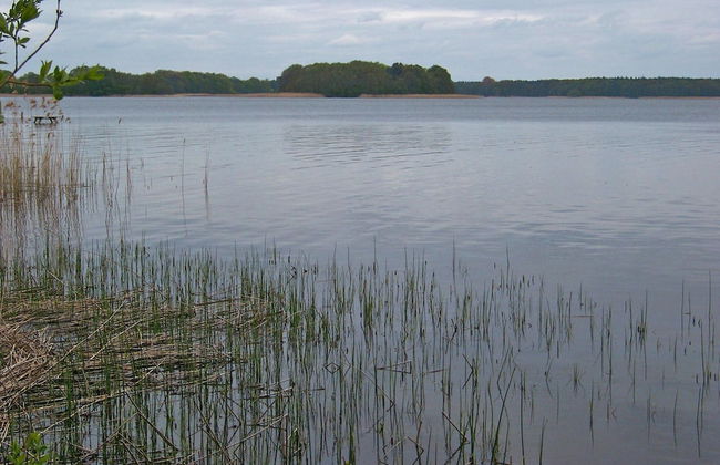 Holiday House at the Useriner See, Userin - Foto 25